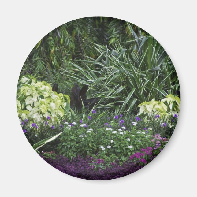 Íman Ilhas Grand Cayman (Frente)