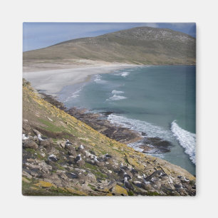 Íman Ilhas Malvinas, Malvinas Ocidental, Saunders