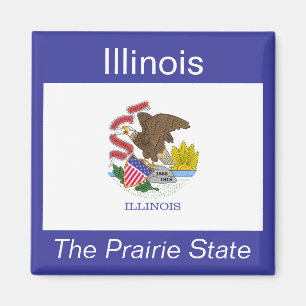 Íman Illinois Flag Magnet
