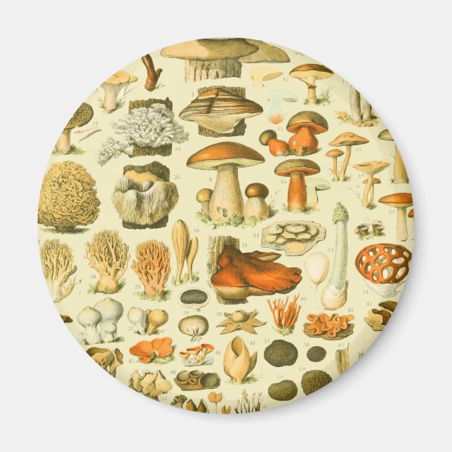 Íman Ilustração Anterior da Ferramenta Vintage do Cogum (Frente)