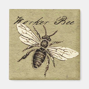 Íman Ilustração Antiga de Abelha Operária em Estilo Ant