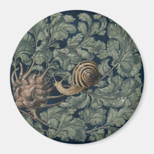 Íman Ilustração Antiga de Caracol Botânico Art Nouveau