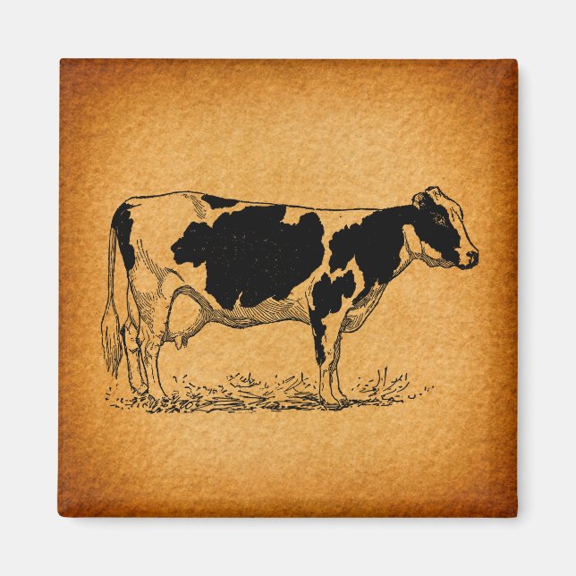 Íman Ilustração Antiga de Fazendas de Vaca Holstein (Frente)