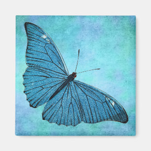Íman Ilustração azul dos 1800s da borboleta da cercet