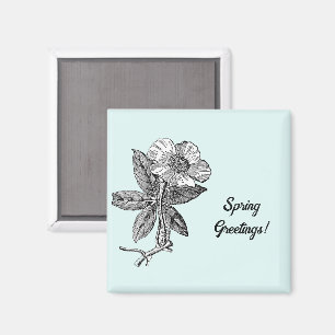 Íman Ilustração Botânica de Flor de Primavera Elegante