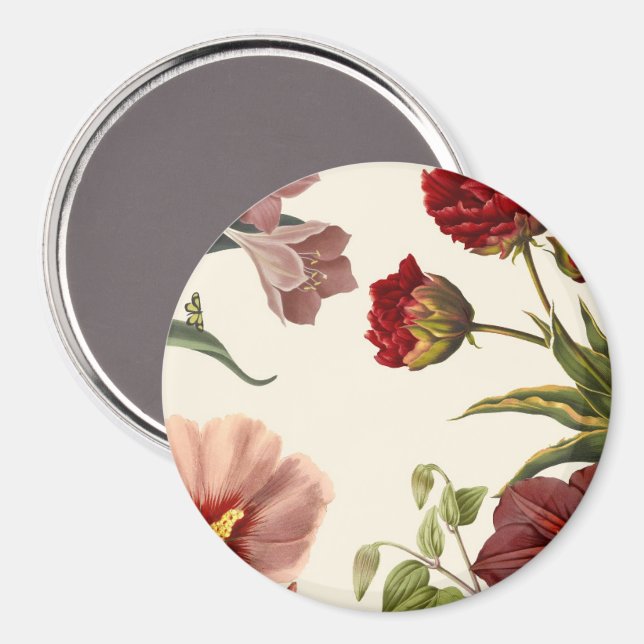 Íman Ilustração botânica vintage com várias  (Front/Back)