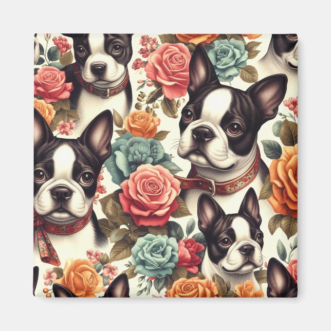 Íman Ilustração Cute Boston Terrier (Frente)