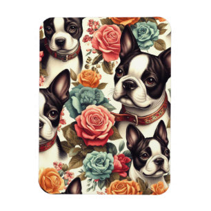 Íman Ilustração Cute Boston Terrier