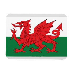 Íman Ilustração da bandeira nacional de Wales, com