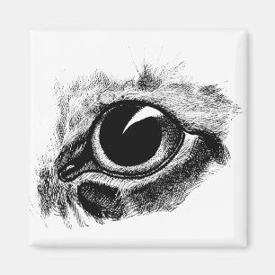 Íman Ilustração de Arte Animal de Desenho Olho