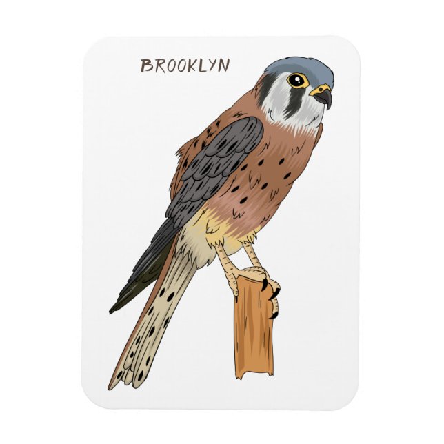 Íman Ilustração de ave do Kestrel Americano (Vertical)