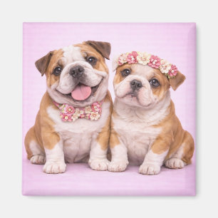 Íman Ilustração de Casal de Bulldog Inglês Fofo para o 