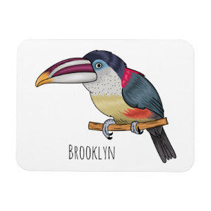 Íman Ilustração de desenho animado de aves do caracari 
