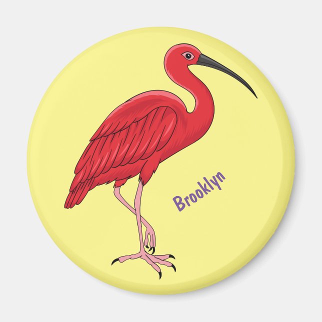 Íman Ilustração de desenho animado de aves Scarlet ibis (Frente)