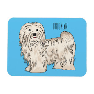 Íman Ilustração de desenho animado de cão Havanês