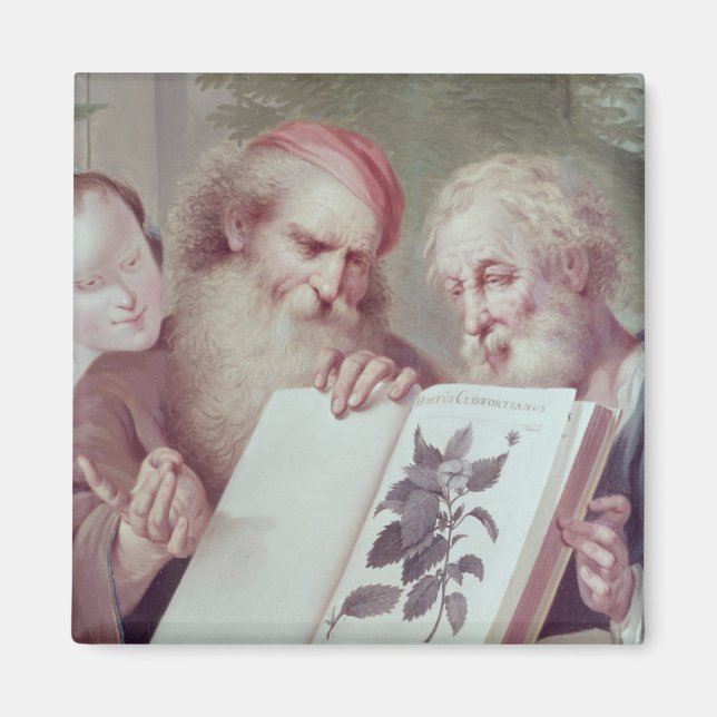 Íman Ilustração de Hortus Cliffortianus (Frente)