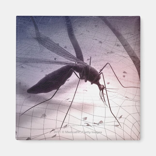 Íman Ilustração de picada de mosquito (Frente)