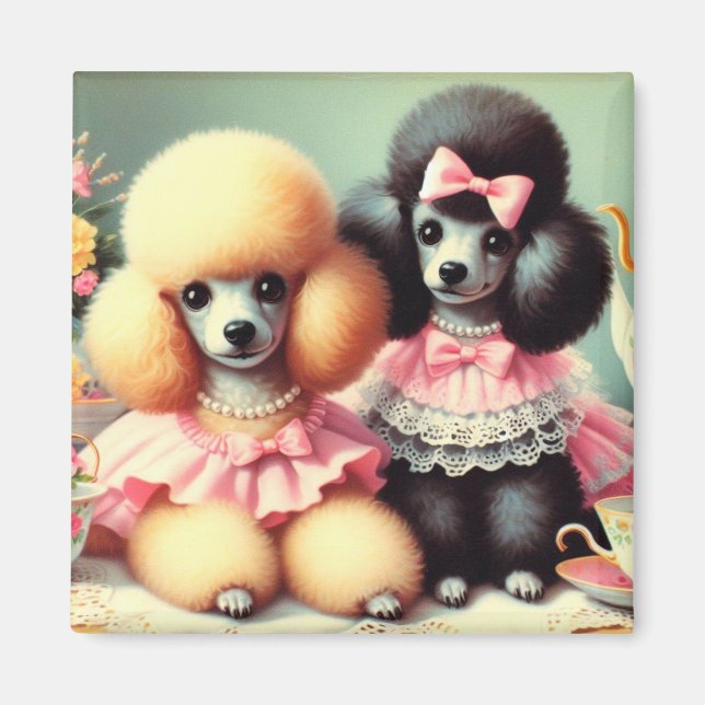 Íman Ilustração de Poodle em Cute (Frente)