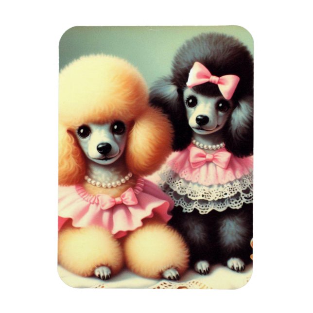 Íman Ilustração de Poodle em Cute (Vertical)
