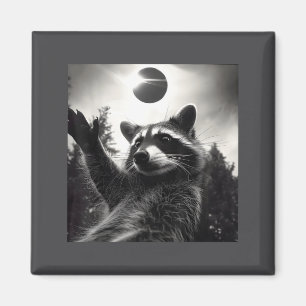 Íman Ilustração de selfie de guaxinim em eclipse solar