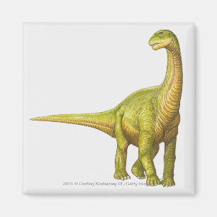 Íman Ilustração de um Camarasaurus