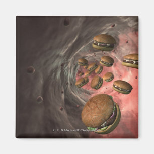 Íman Ilustração de um vaso sanguíneo com hamburguere