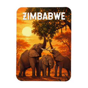 Íman Ilustração de viagem de arte vintage do Zimbábue