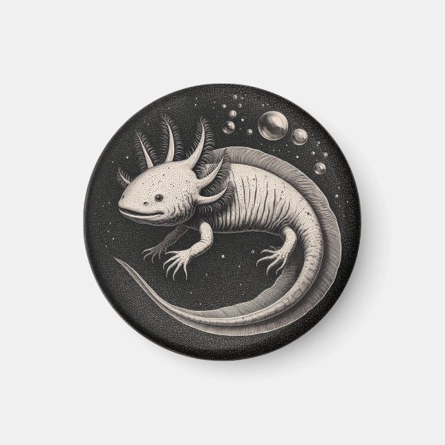 Íman Ilustração de Vintagem Axolotl (Frente)