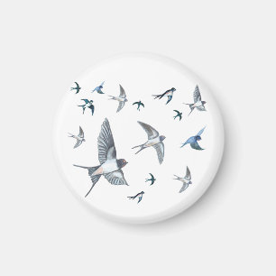 Íman Ilustração Do Bando De Aves De Engorda Voadoras