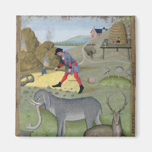 Íman Ilustração do Livro do Simples