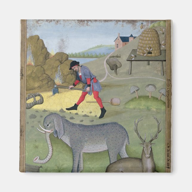 Íman Ilustração do Livro do Simples (Frente)