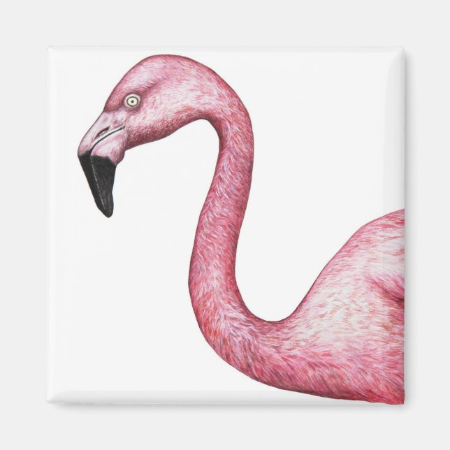 Íman Ilustração Flamingo Cor-de-Rosa Brilhante (Frente)