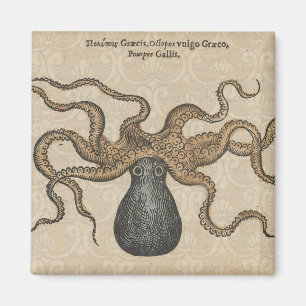 Íman Ilustração Octopus Kraken Vintage