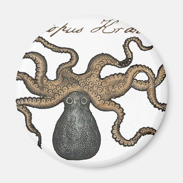 Íman Ilustração Octopus Kraken Vintage (Frente)