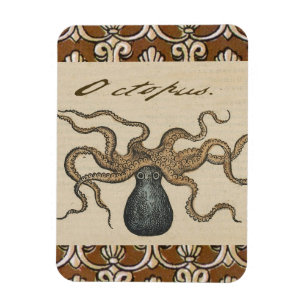 Íman Ilustração Octopus Kraken Vintage