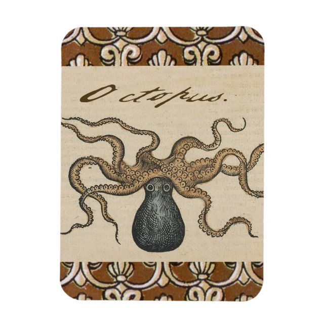 Íman Ilustração Octopus Kraken Vintage (Vertical)