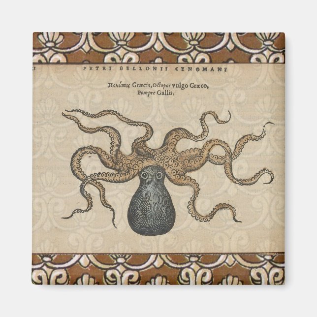 Íman Ilustração Octopus Kraken Vintage (Frente)