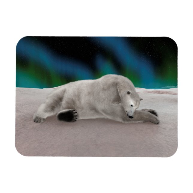 Íman Ilustração Pacífica de Urso Polar na Natureza Árti (Horizontal)