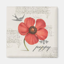 Ilustração Poppy Vintage Moderna