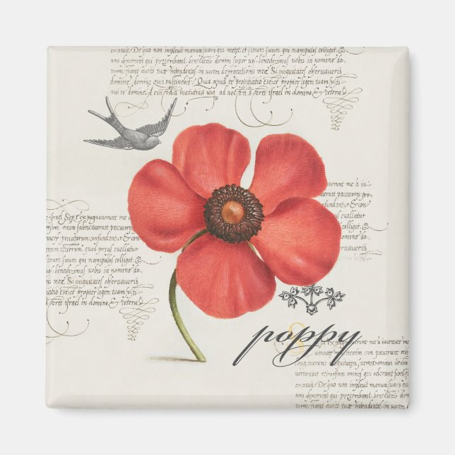 Íman Ilustração Poppy Vintage Moderna (Frente)