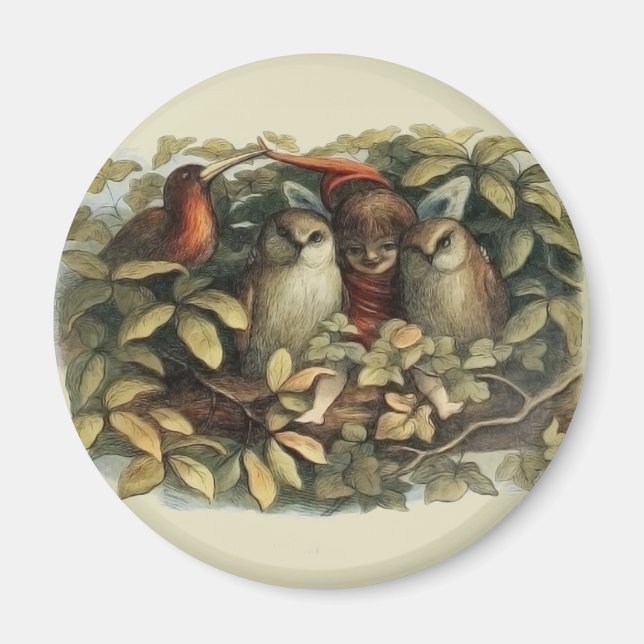 Íman Ilustração rica em recursos naturais do Owls e do  (Frente)