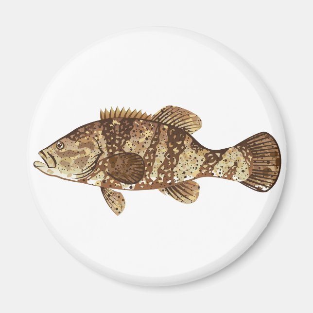 Íman Ilustração vetorial de Gamefish Grouper Goliath (Frente)