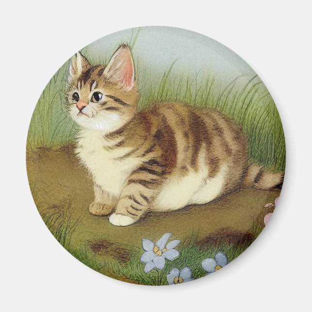 Íman Ilustração Vintage Kitten com Flores (Frente)