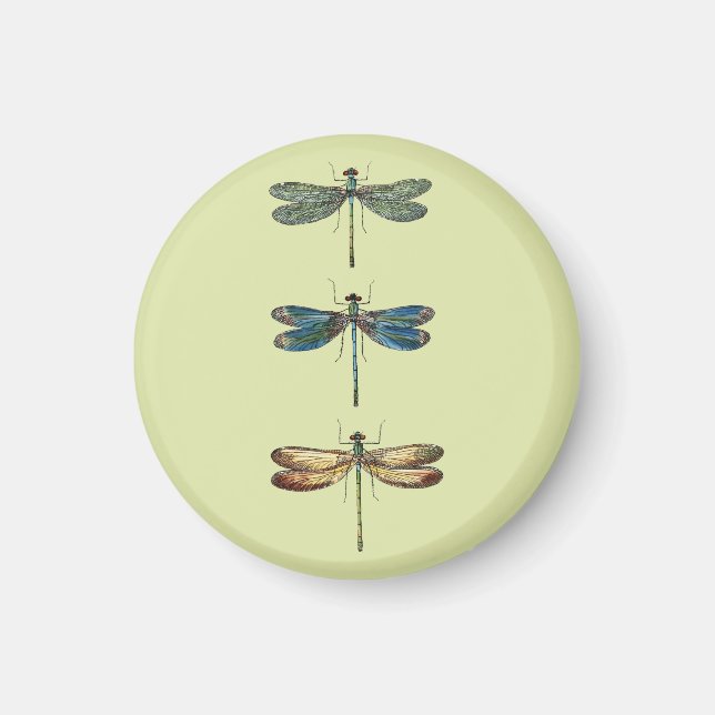 Íman Ilustrações de Dragonfly (Frente)