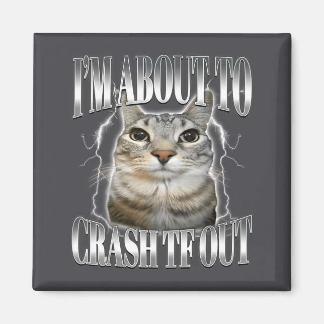 Íman I'm About To Crash Out Funny Staring Cat Brainrot  (Frente)