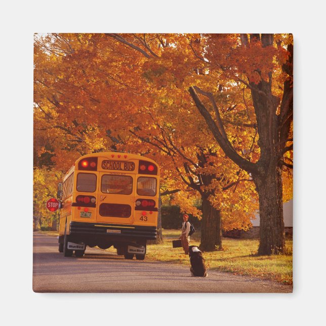 ÍMAN ÍMÃ (Frente)