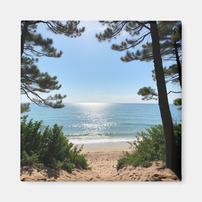 Íman ímã (Frente)