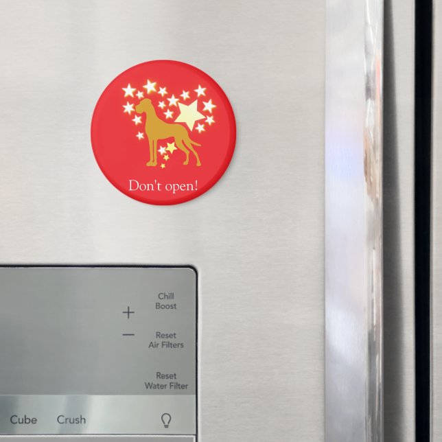 Íman Ímã (In Situ (Fridge))