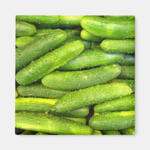 Íman Ímã 01 do pepino