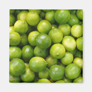 Íman Ímã 01 dos limões